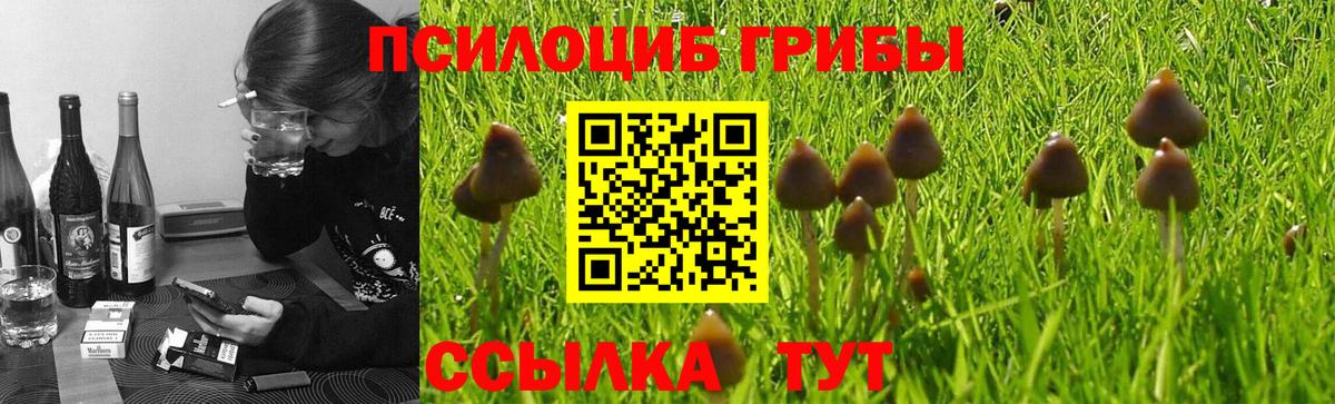 Шелехов  Галлюциногенные грибы ЛСД  Вход с VPN 